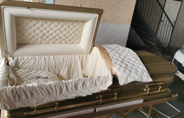 International Repatriation Services