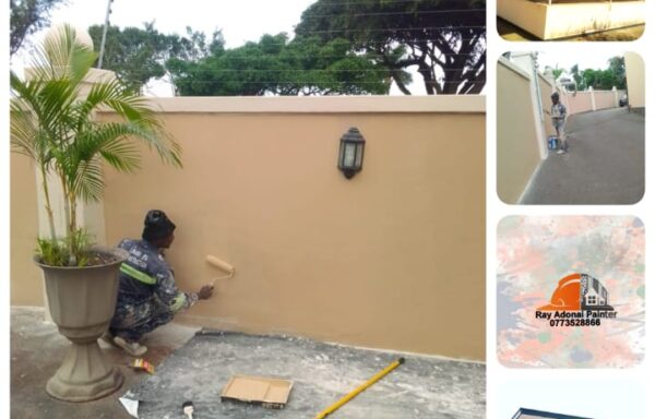 Boundary Wall Painting