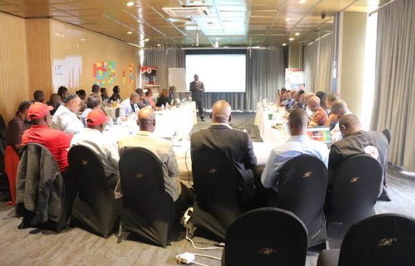 Organisational Wellness Surveys