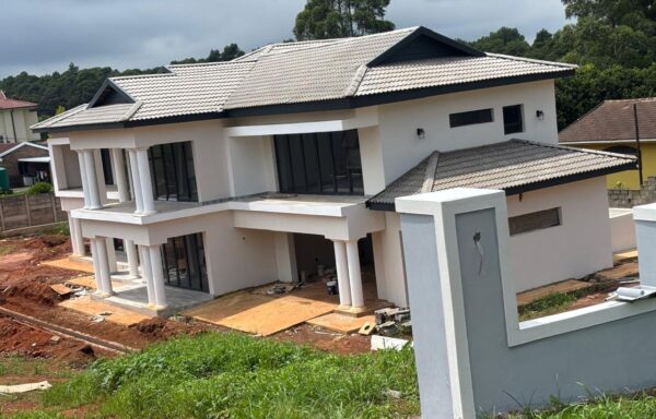 Professional Painting