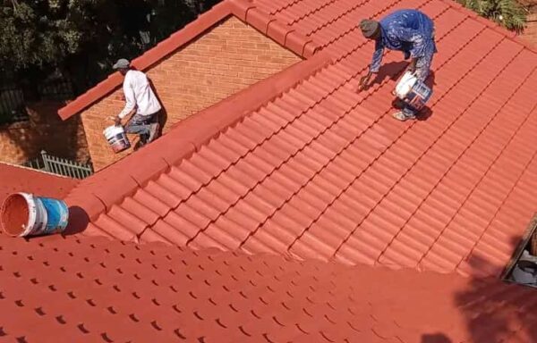 Roof Cleaning