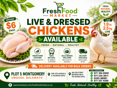 Fresh Food Market
