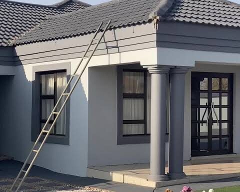 Painting and Ceiling Services
